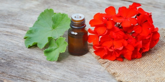 Sardunya Yağının Cilde Faydaları